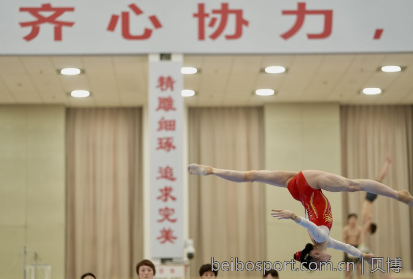 贝博betball体育下载的用户评价分析