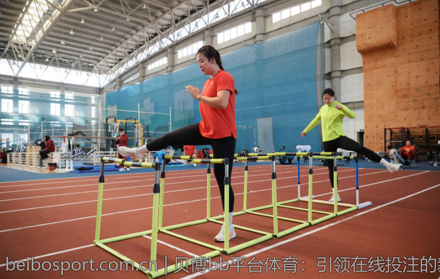 贝博bb平台体育：引领在线投注的新趋势