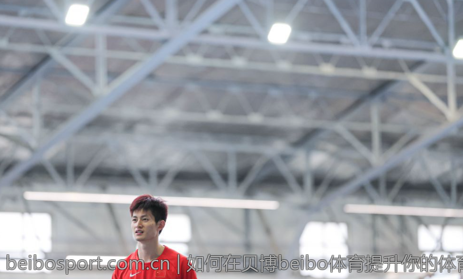 如何在贝博beibo体育提升你的体育投注技巧