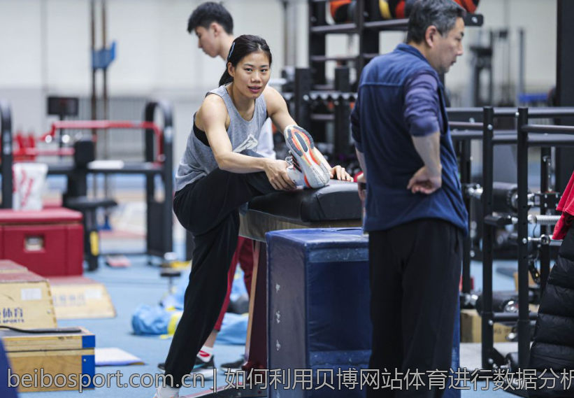 如何利用贝博网站体育进行数据分析