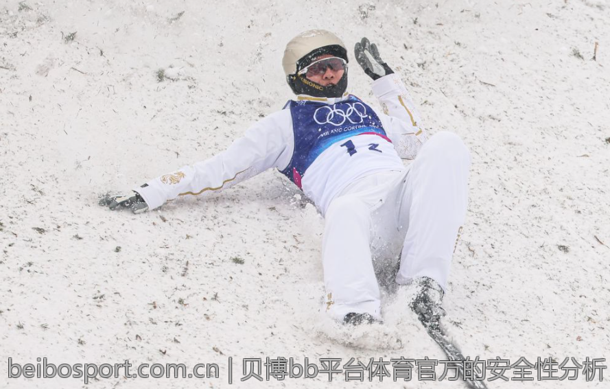 贝博bb平台体育官方的安全性分析
