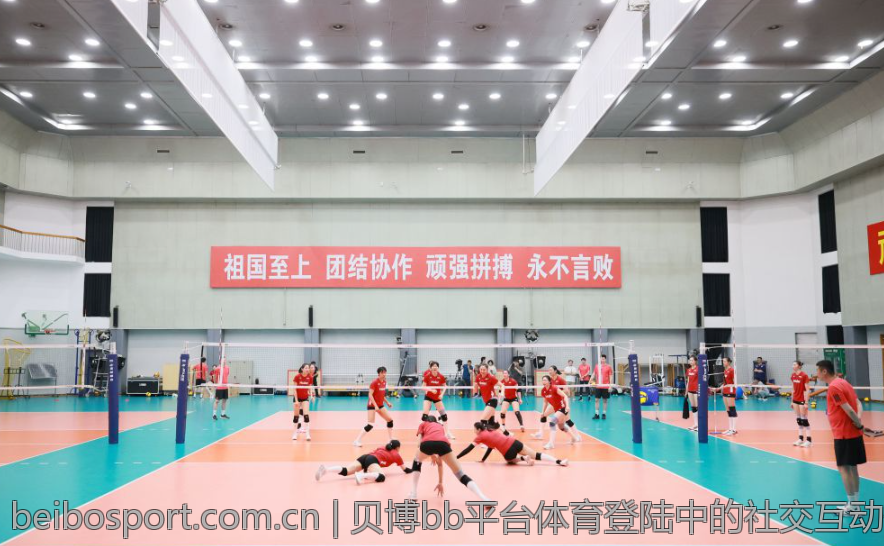 贝博bb平台体育登陆中的社交互动体验探讨