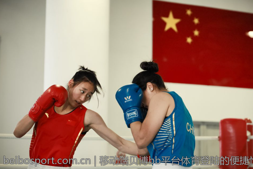 移动端贝博bb平台体育登陆的便捷性分析